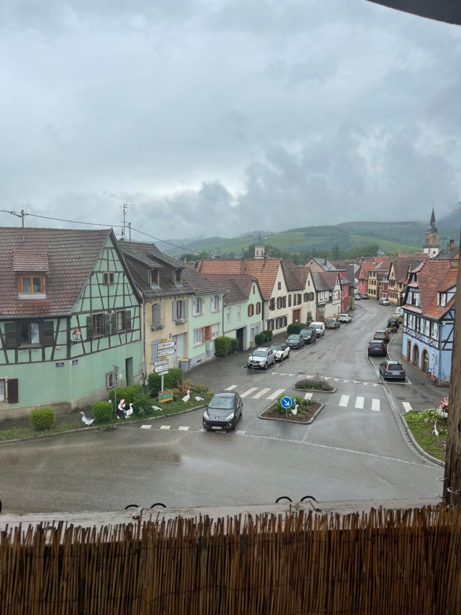 Appartement Centre Alsace Gertwiller Eksteriør bilde